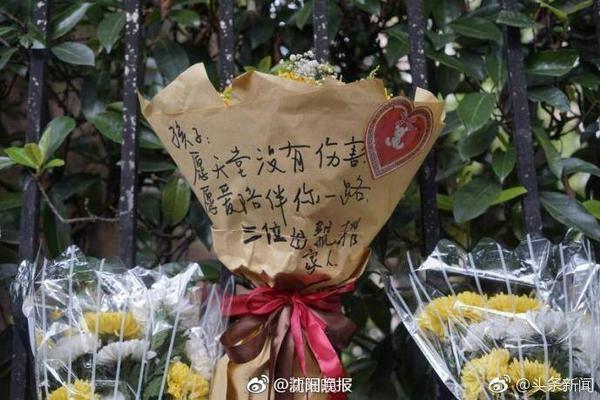 麻将来了桌面版客户端